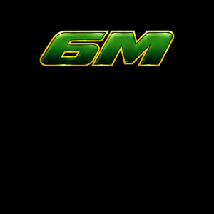 6M