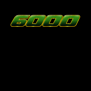 6000