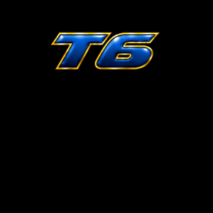 T6